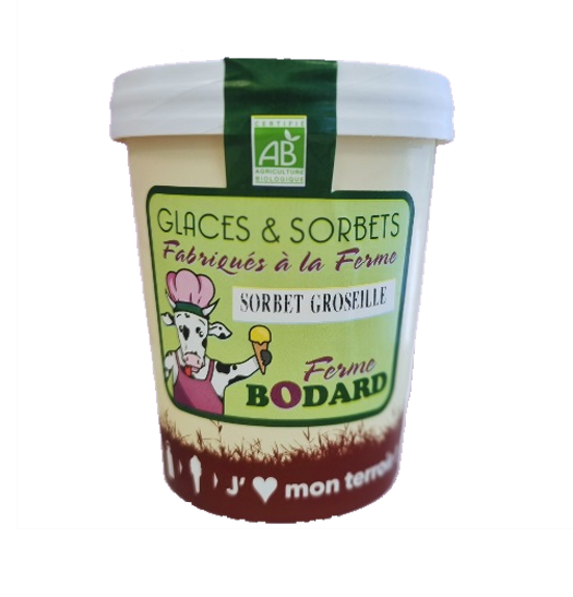 Glace parfum groseille